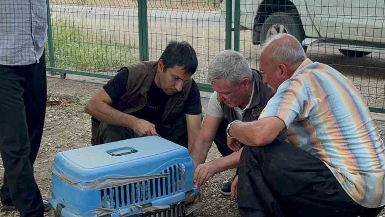 Gümüşköy'de evinin önüne gelen yaralı leyleğe vatandaş şefkatle sahip çıktı