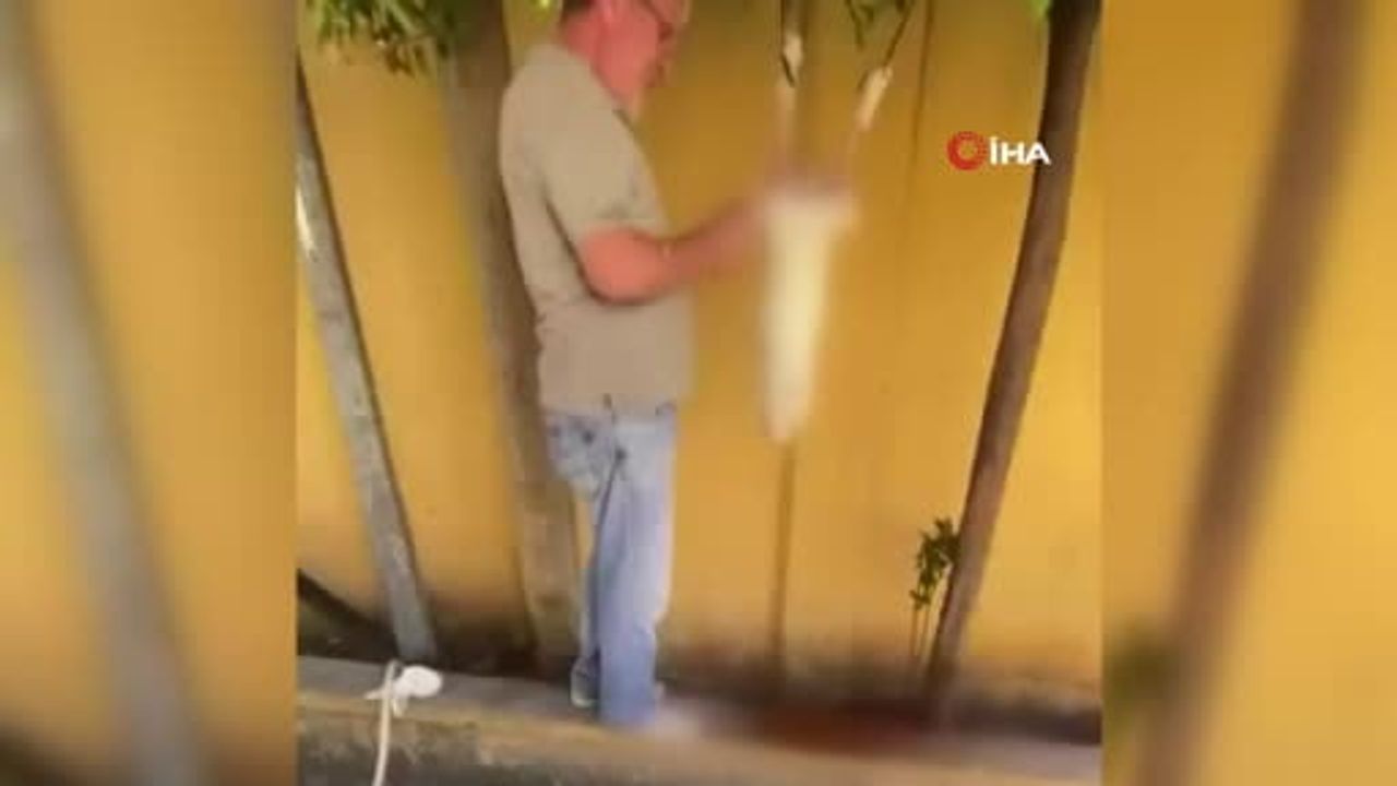 Güngören'de sosyal medyada yayılan tavşan görüntüsünün şüphelisi gözaltına alındı