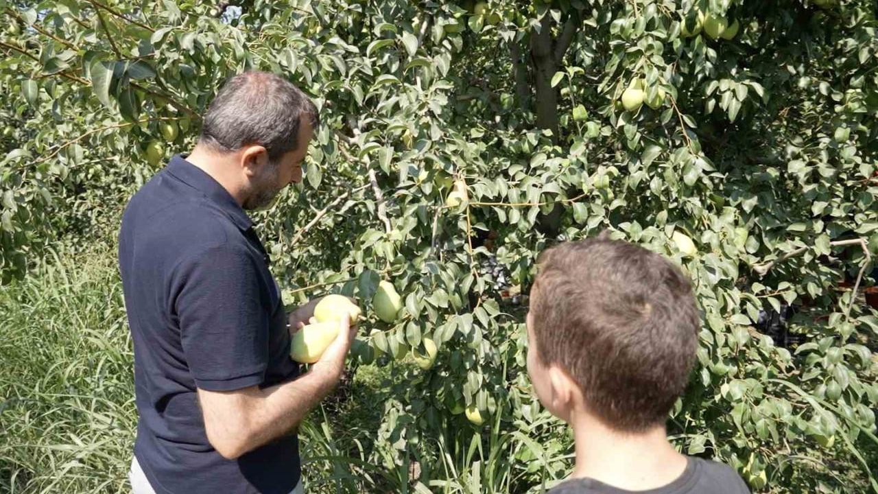 Gürsu'nun küçük çiftçisi bilgiyle dikkat çekti