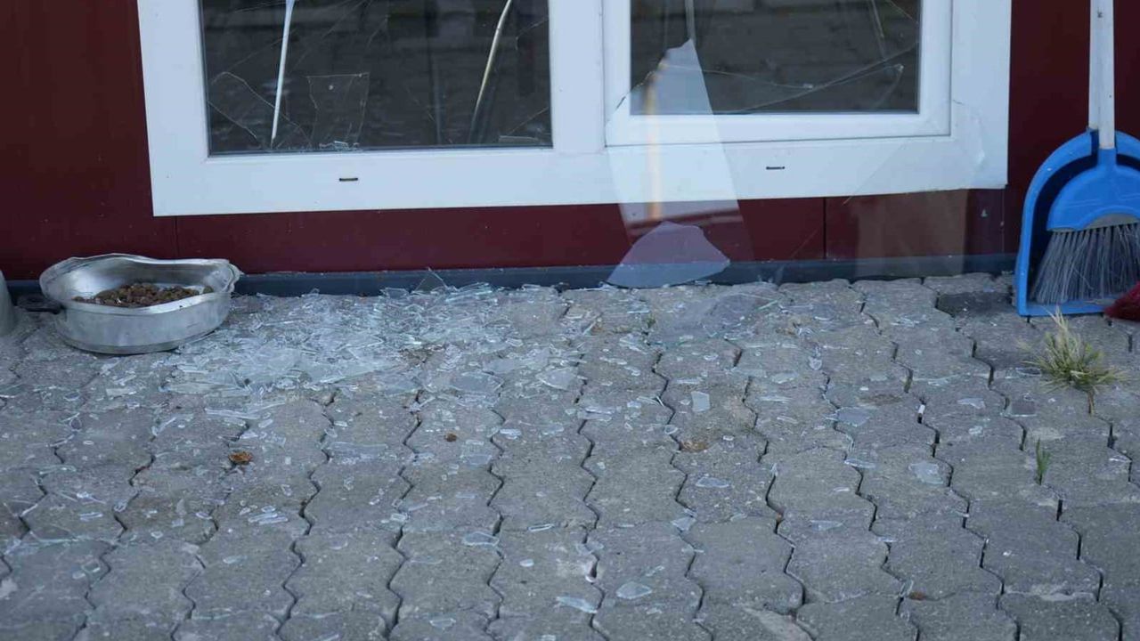 Güvenlik kamerası kaydetti: maskeli saldırgan beyzbol sopasıyla kooperatifin pencerelerini kırdı