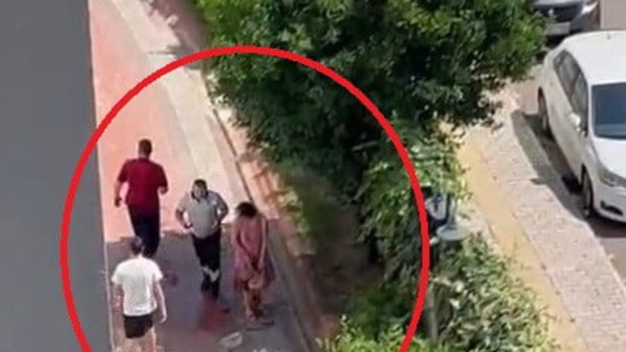 Güvenlik kamerası kaydetti: pitbull poodle'a saldırdı, çocuk yere savruldu