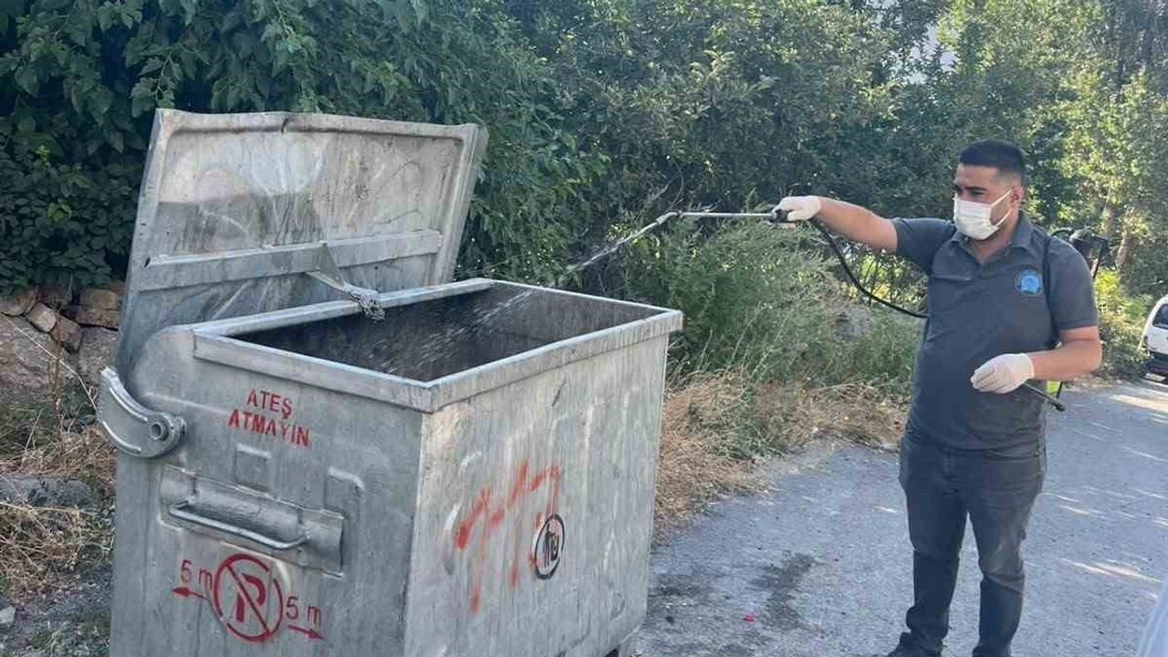 Hakkari'de çöp konteynerleri ve sazlıklarda hedefli ilaçlama sürüyor