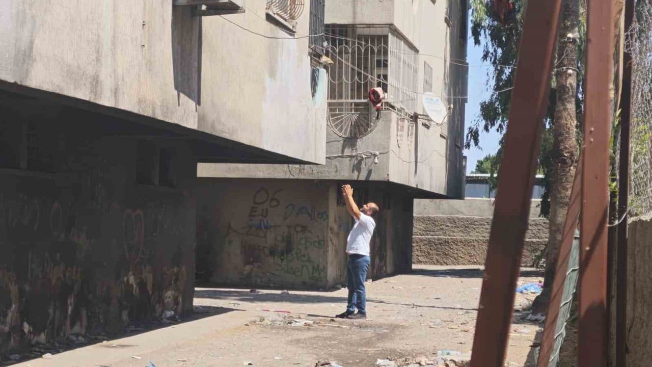 Hamile kedi yangından kaçıp itfaiyenin merdiveniyle kurtarıldı