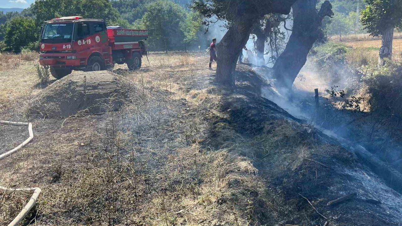 Hanönü'nde tarlada başlayan örtü yangını hızlı müdahaleyle kontrol altına alındı