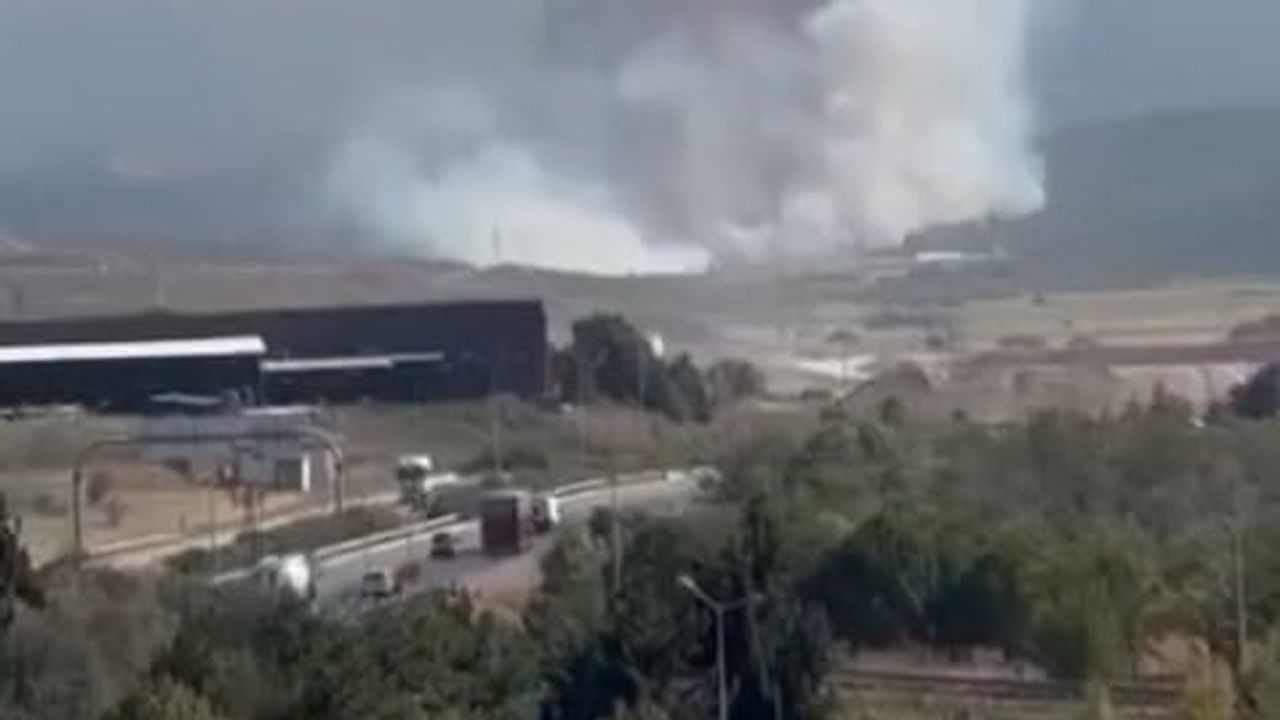 Hasanağa'da başlayan ot yangını ormana sıçradı; havadan ve karadan müdahale sürüyor