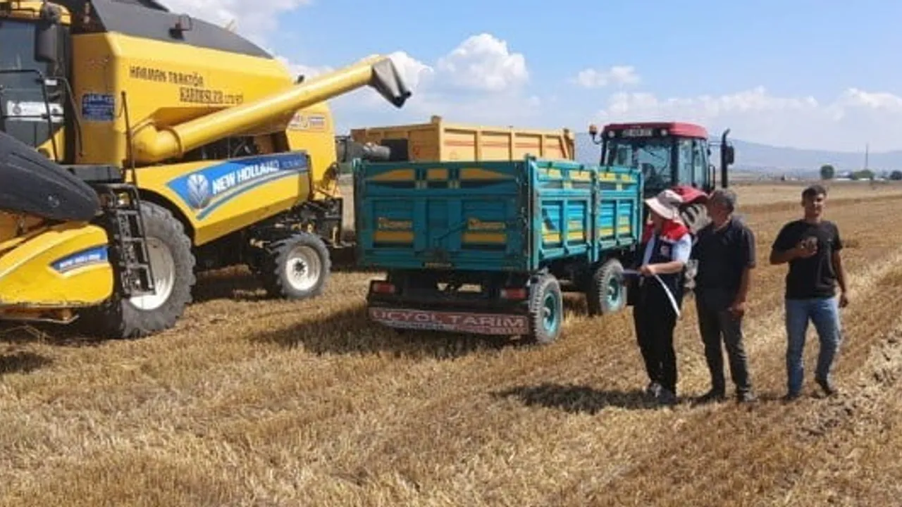 Hasat mevsiminde tarlada sıkı denetim: biçerdöverlere uyarı