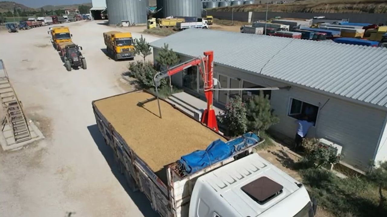 Hasat sezonunda TMO'dan üreticilere 120 milyar lira ödeme yapıldı
