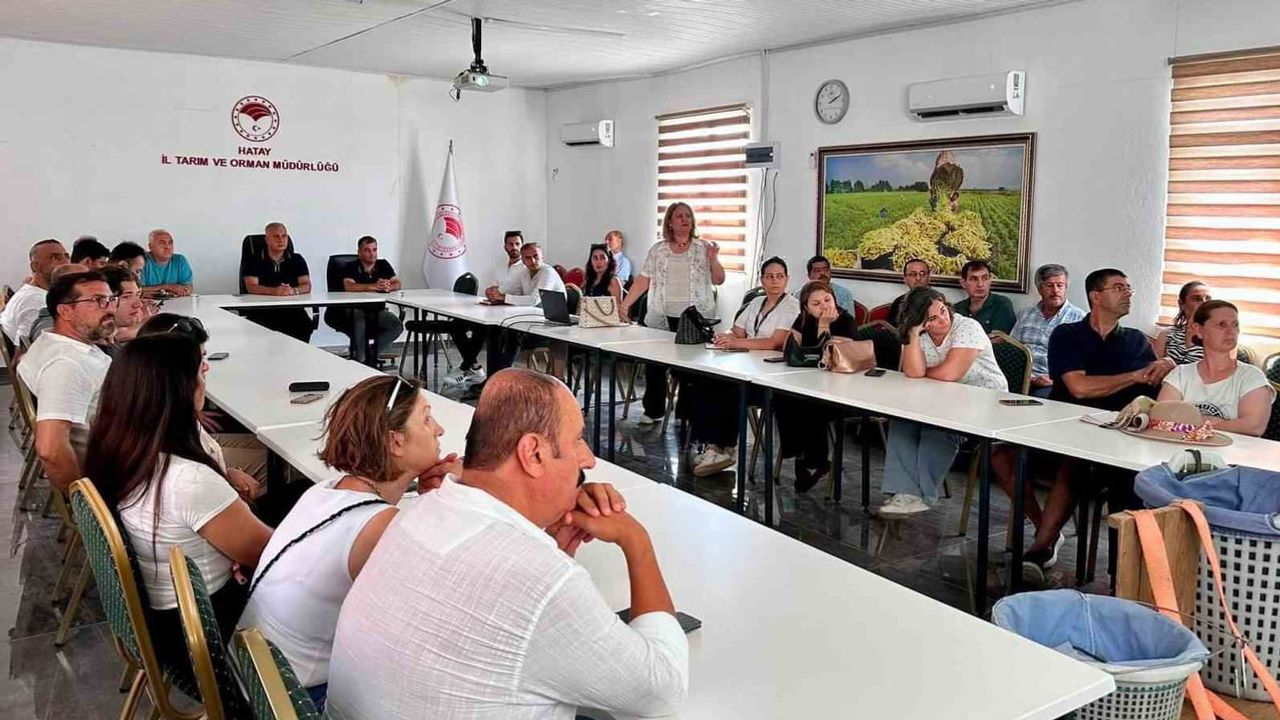 Hasatta kalite sağlamak: Hatay’da turunçgil üreticilerine doğru uygulama eğitimi