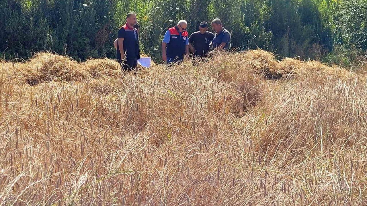 Hasatta kayıp ve yangın riskine karşı Eğirdir'de biçerdöverler incelendi