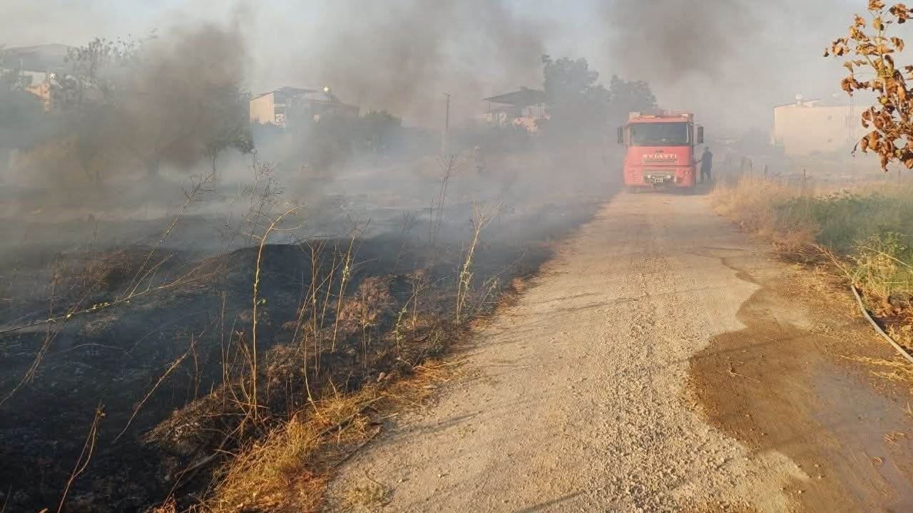 Hassa'da zeytinlik alevleri itfaiyenin müdahalesiyle durduruldu