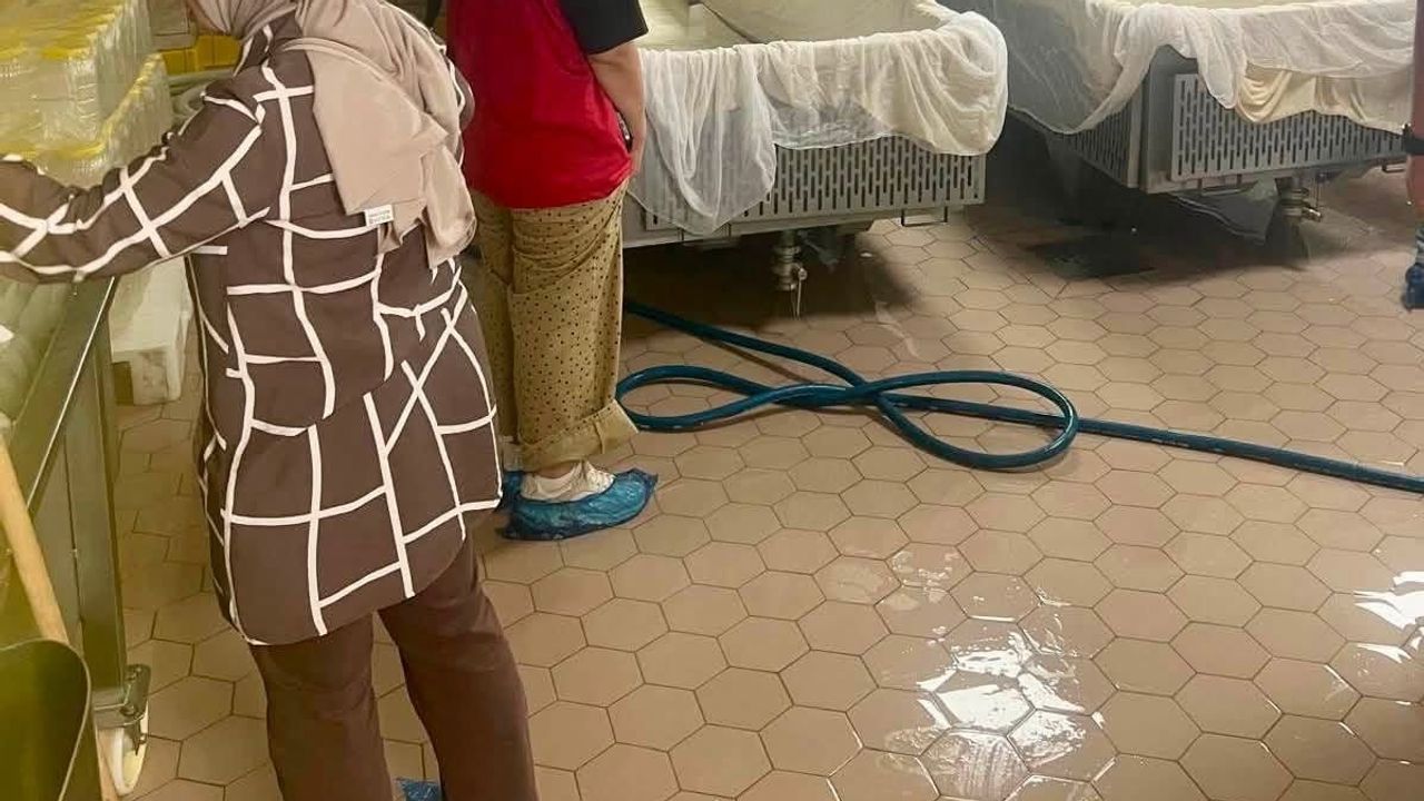 Hatay'da süt işleme tesisine kapsamlı gıda güvenliği incelemesi