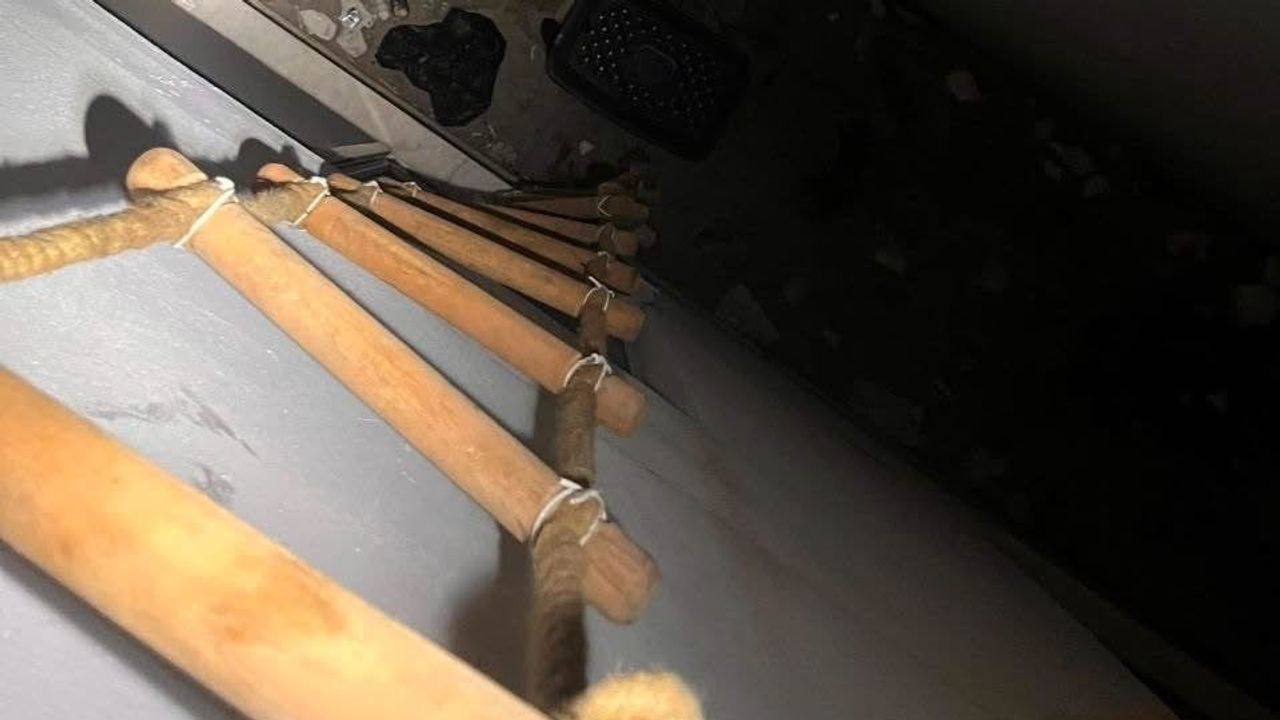 Hatay ekipleri sokak hayvanlarını zamanında kurtardı