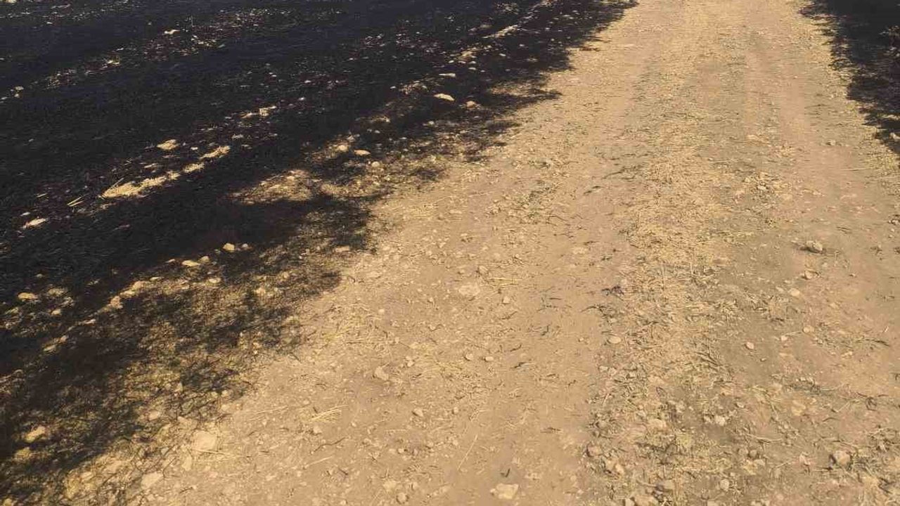 Hatlara çarpan kuş kıvılcımıyla otlukta yangın çıktı