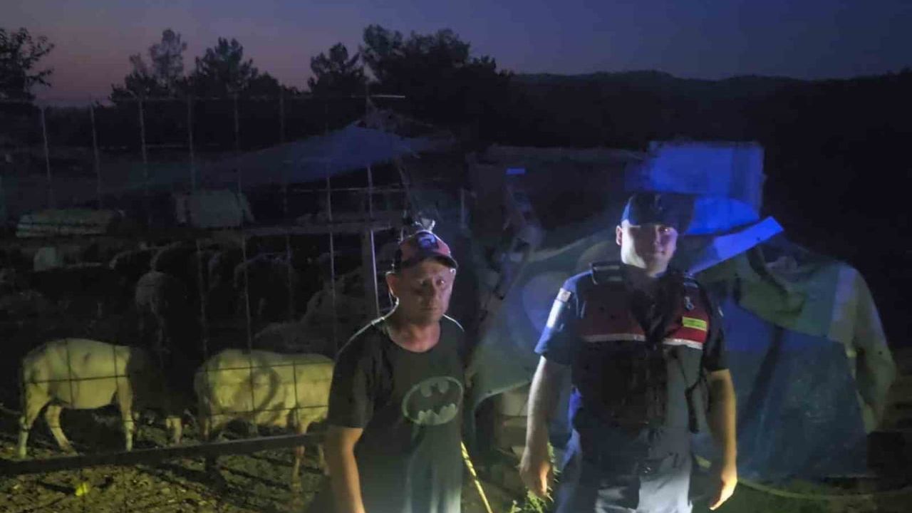 Havadan yapılan aramayla 50 küçükbaş dört kilometre sonra yeniden ağılda