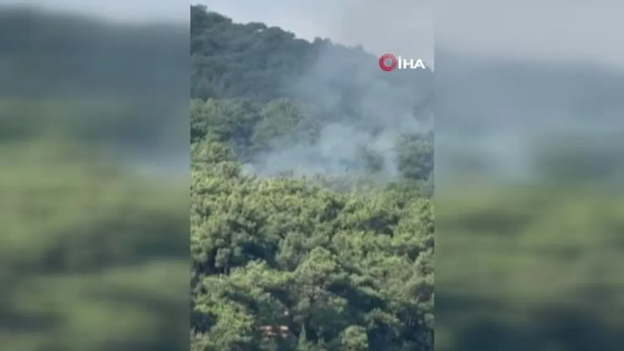 Heybeliada'da duman kısa sürdü: orman yangını hızlı müdahaleyle söndürüldü