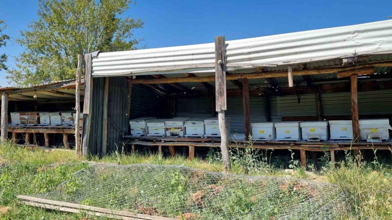 Hisarcık Karbasan'da arı sağlığı ve mevzuat denetimi yapıldı