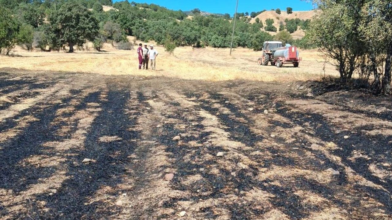 Hisarcık'ta anız yangını köylü müdahalesiyle sınırlandı
