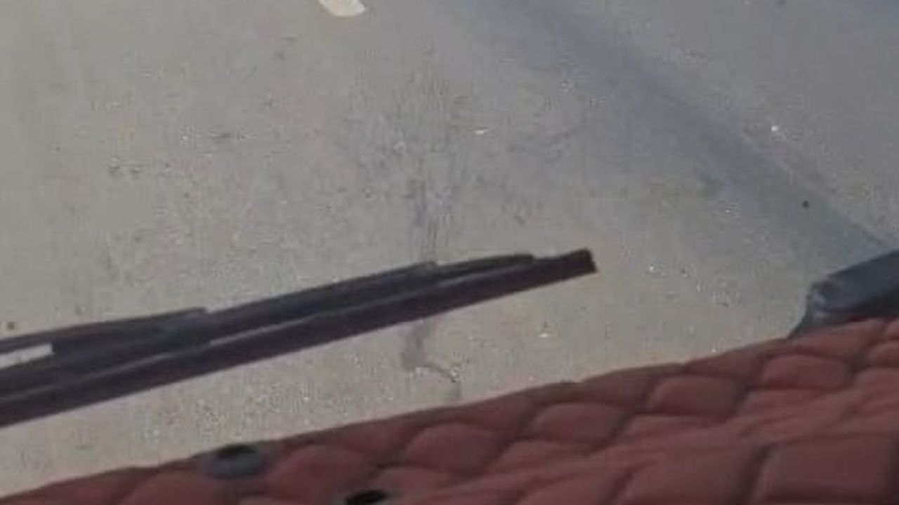 Hızlı müdahale Eskişehir-Bursa kara yolundaki ot yangının ormana sıçramasını önledi