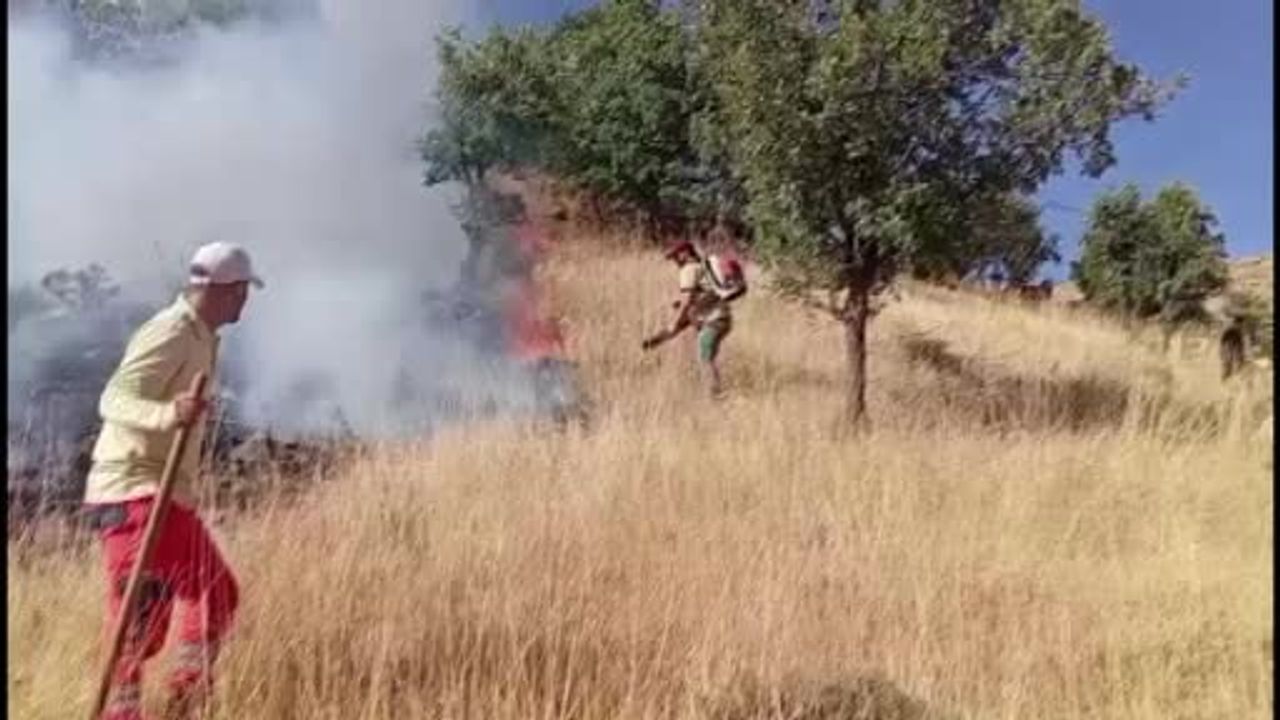 Hızlı müdahale sayesinde Bingöl'de mera yangını çevreye sıçramadan kontrol altına alındı