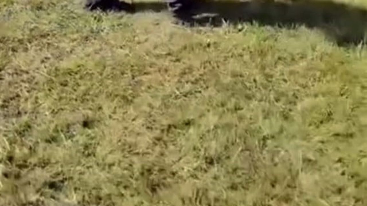 Iğdır'da Başsinek köyünde ot yüklü kamyonetin devrilmesi maddi hasarla sonuçlandı
