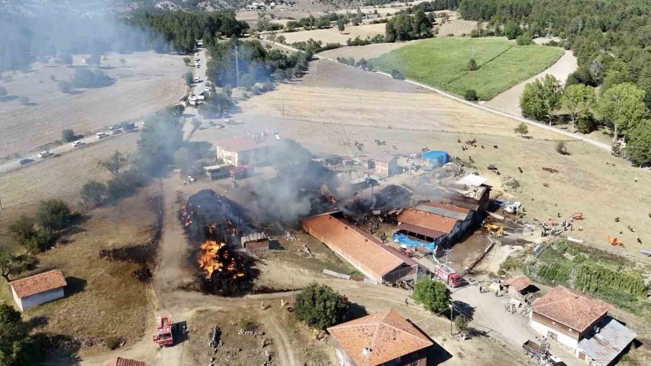 İhsangazi'de samanlıklardan ahırlara yayılan yangın 14 büyükbaşa mal oldu