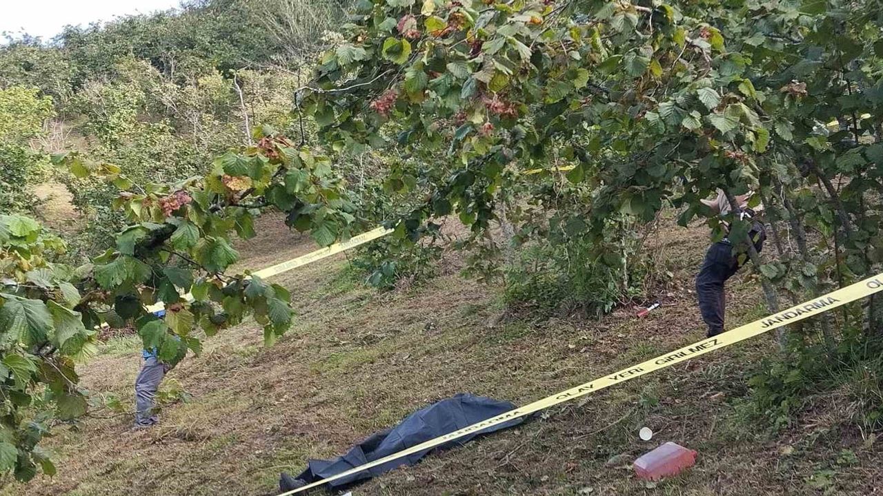 İkizce'de patpat devrildi: 2 ölü, 10 yaralı