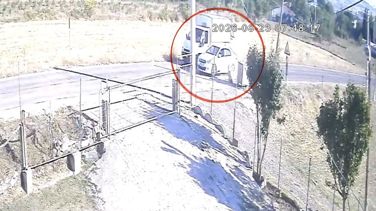 İlkadım'da sollama sırasında köpeğe çarpan araç olay yerinden kaçtı