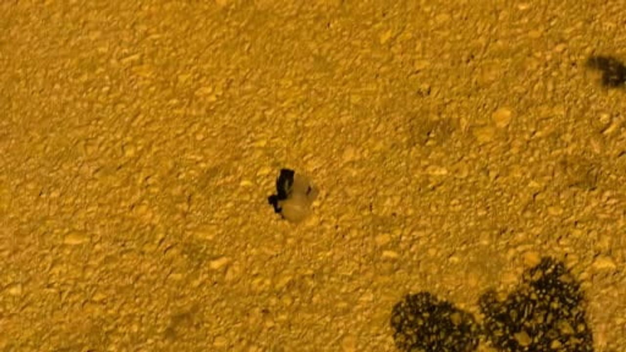 İnegöl'de husumet mahallesinde tüfekli saldırı: genç bacağından yaralandı