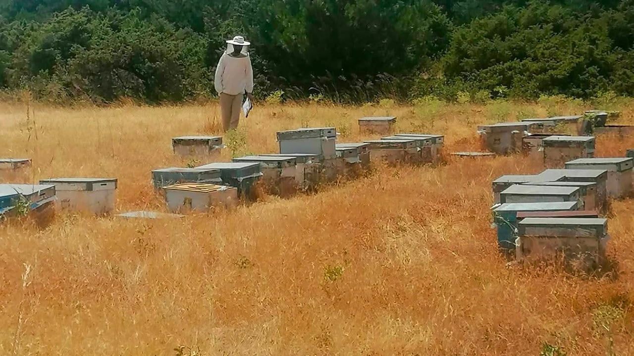 İscehisar'da kovan tespiti için arazi çalışmaları yoğunlaştı
