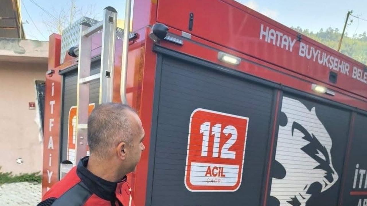 Isınan hava yılanları yerleşimden uzaklaştırıldı