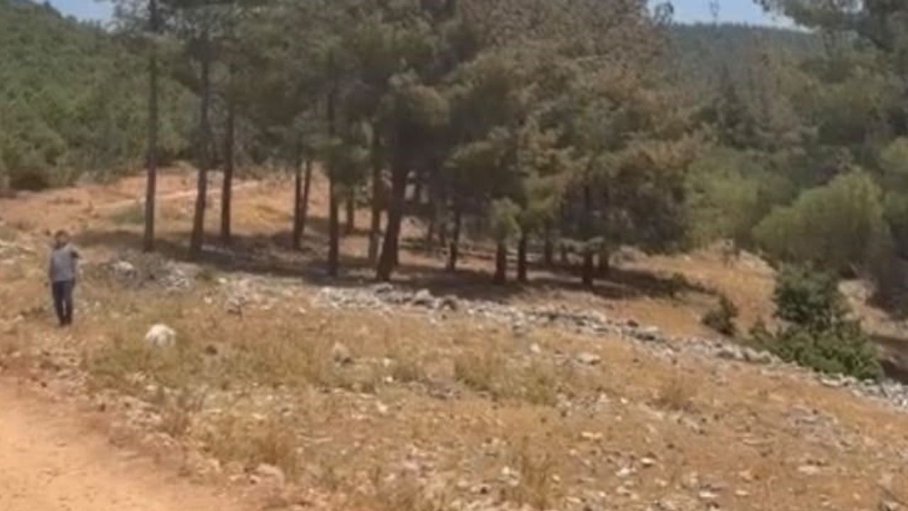 İslahiye'de orman yangını havadan ve karadan müdahale ile söndürüldü