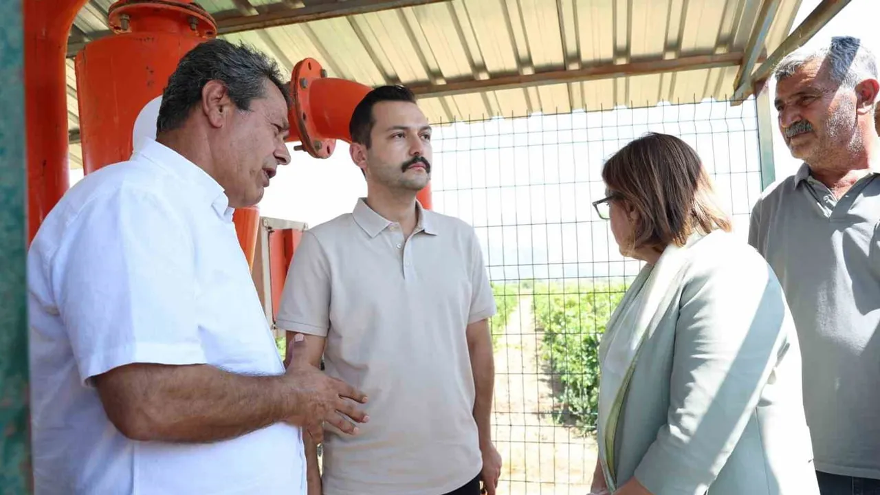 İslahiye'de telli bağ sistemiyle üzüm verimi artıyor