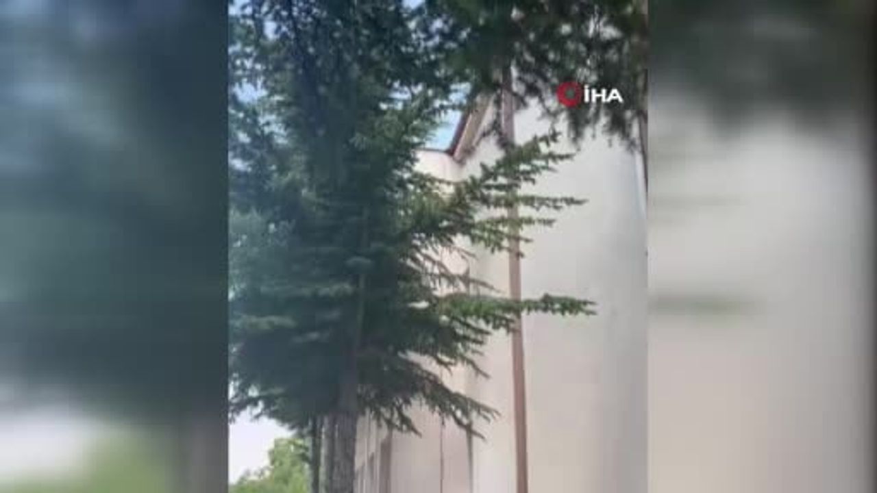 İtfaiye ekibinin sepetiyle kurtarılan kedi bahçeye geri döndü