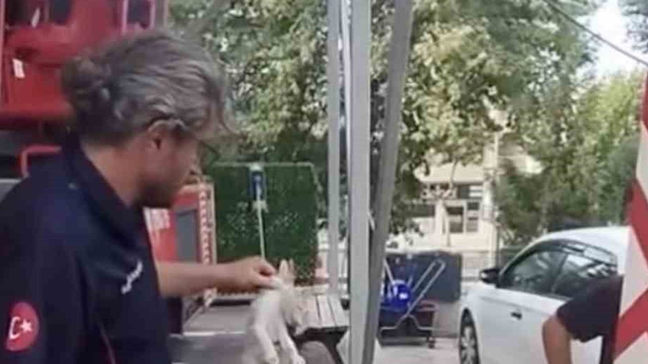 Itfaiye ekipleri Yalova'da otomobilin altından çıkan küçük canı kurtardı