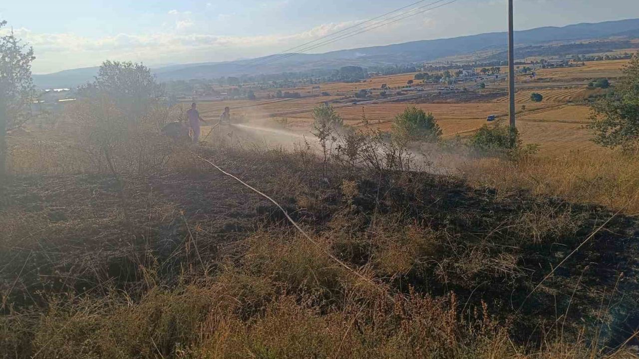 İtfaiyenin hızlı müdahalesi anız yangının ağaçlığa sıçramasını önledi