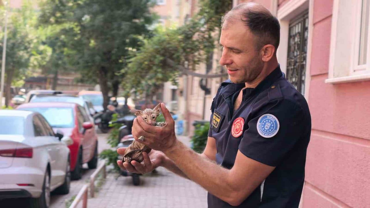 İtfaiyenin müdahalesiyle gider borusundan kurtarılan yavru kedi çevreyi sevindirdi