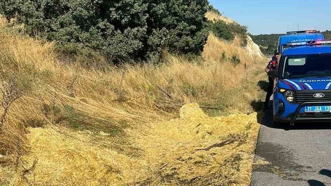İzmarit kıvılcımı arazide yangın çıkardı, itfaiye hızlı müdahale etti