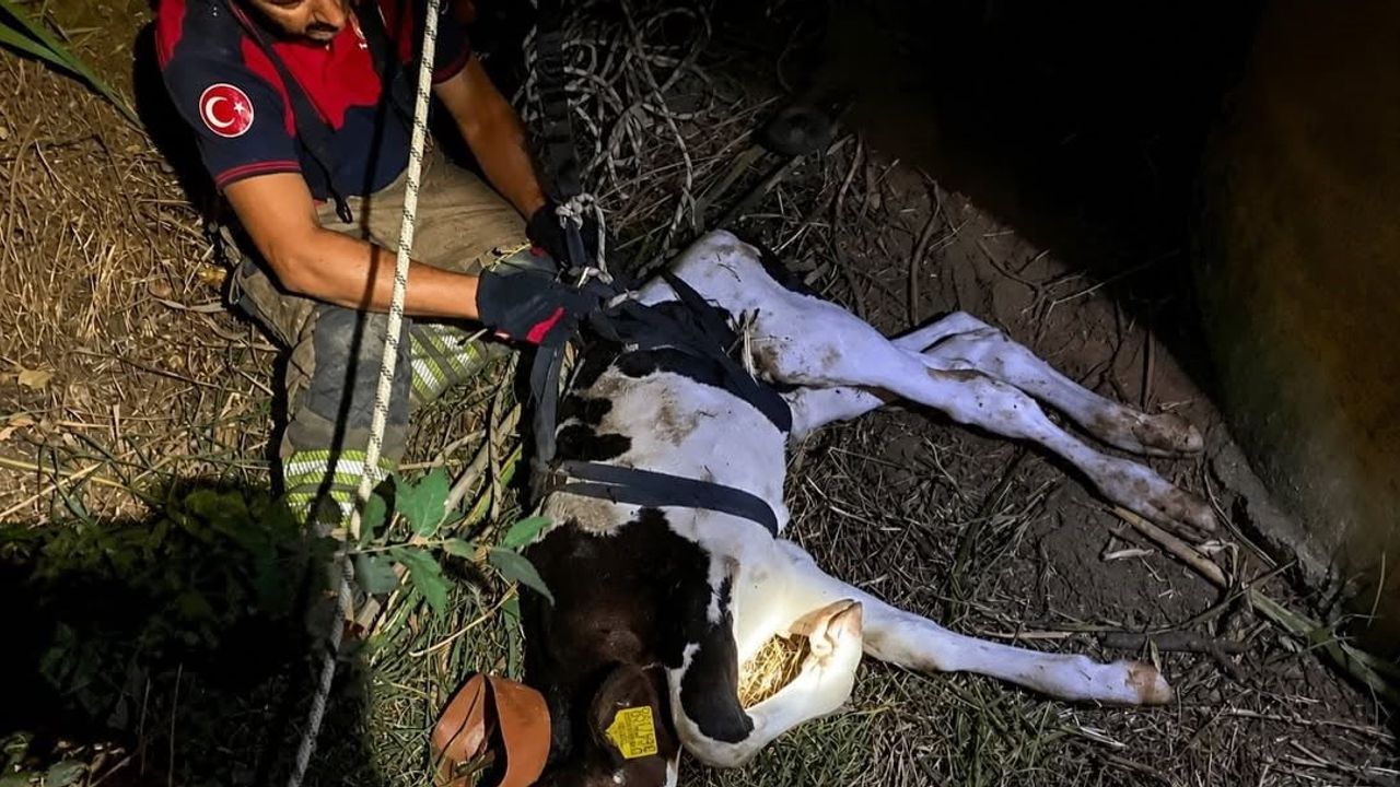 İzmir itfaiyesinin temmuz bilançosu: 4 bin 316 müdahale, ortalama 6 dakika 15 saniye varış
