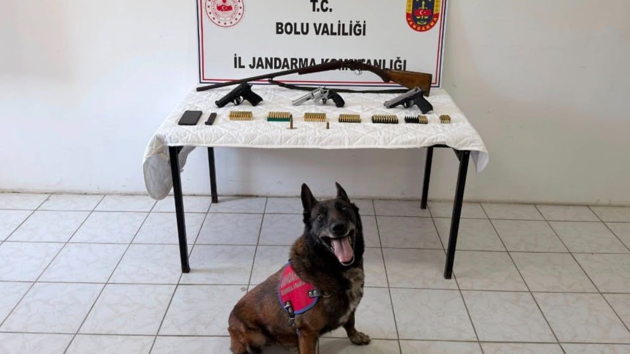 Jandarma operasyonunda Bolu'da evinden silah çıkan şüpheli tutuklandı