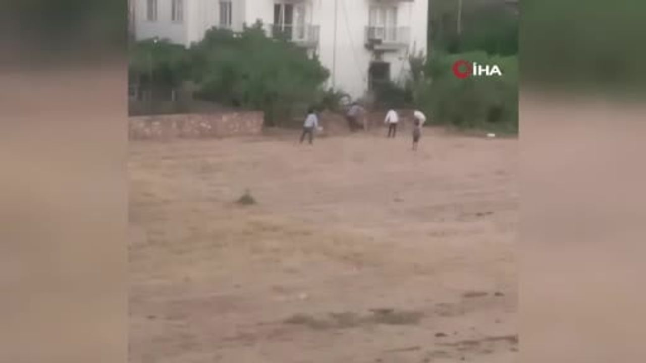 Kaçan ineği yakalama girişimi yaralanmayla sonuçlandı