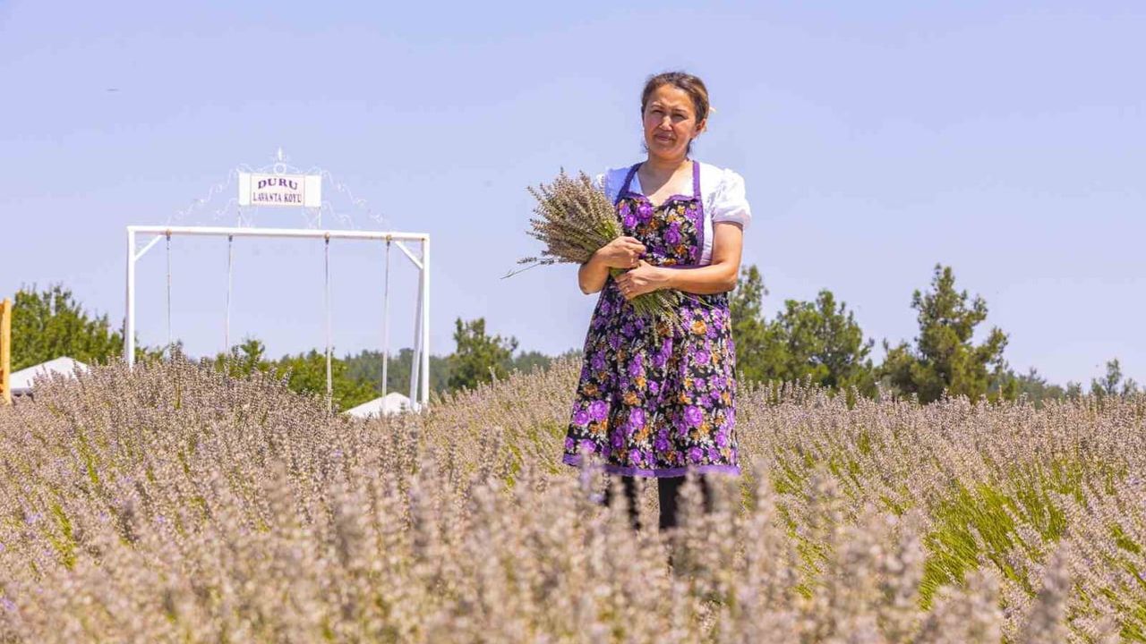 Kadın girişimci lavantayı kâra çevirdi: Duru Lavanta Köyü örneği