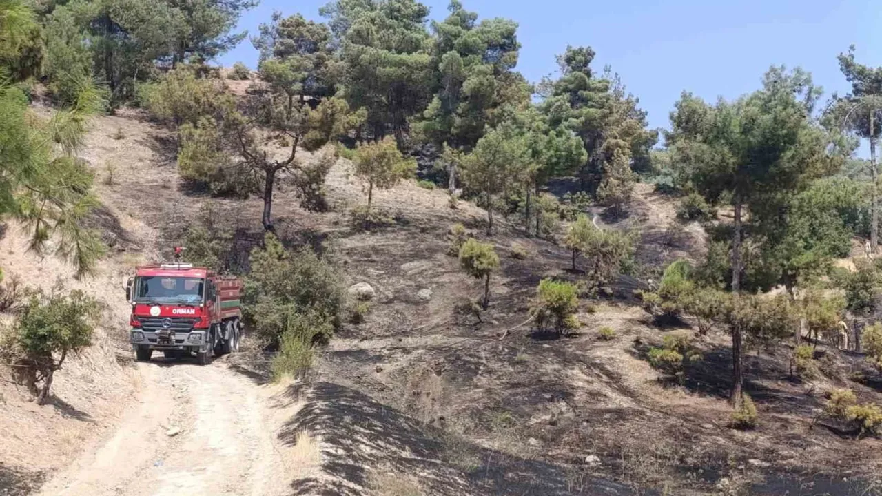 Kahramanmaraş'ta helikopter destekli müdahaleyle Kılavuzlu'daki orman yangını kontrol altına alındı