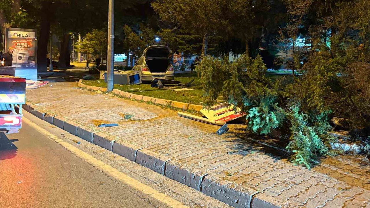 Kaldırımdan parka: kontrolden çıkan araç ağaç ve gişeyi devirdi