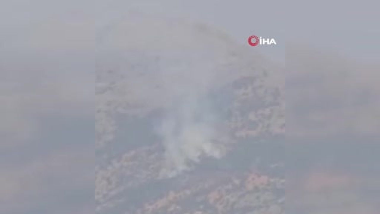 Kalems Dağı'nda alevler: Baykan'da orman yangınına müdahale başladı