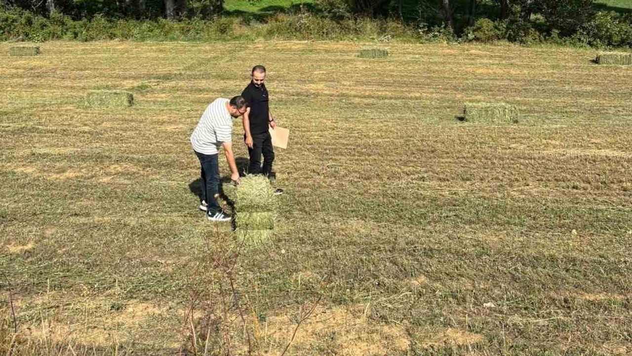 Kamu taşınmazlarının geleceği için Kemertaş'ta saha teyidi