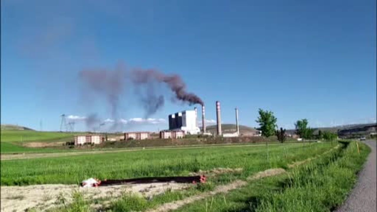 kangal'da termik için uzman eller istendi, tabiat parkına öncelik verildi