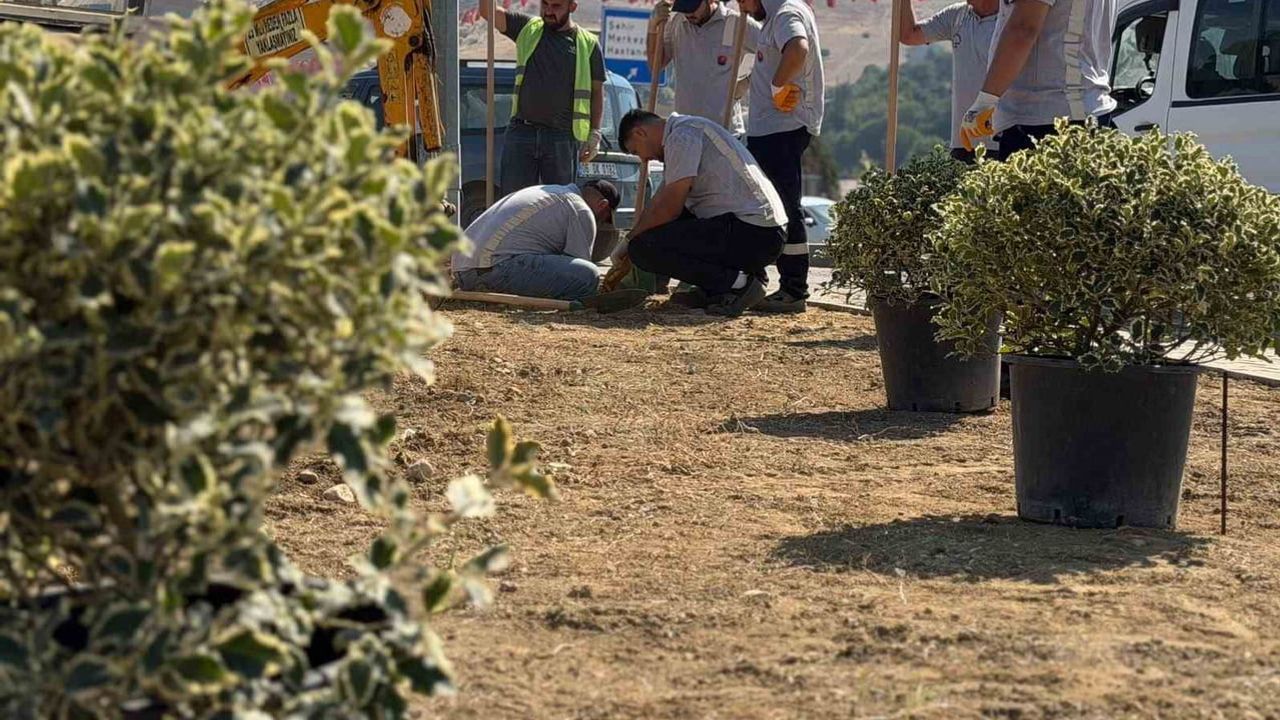 Karabük'te kent girişleri 200 ağaçla yeşile bürünüyor