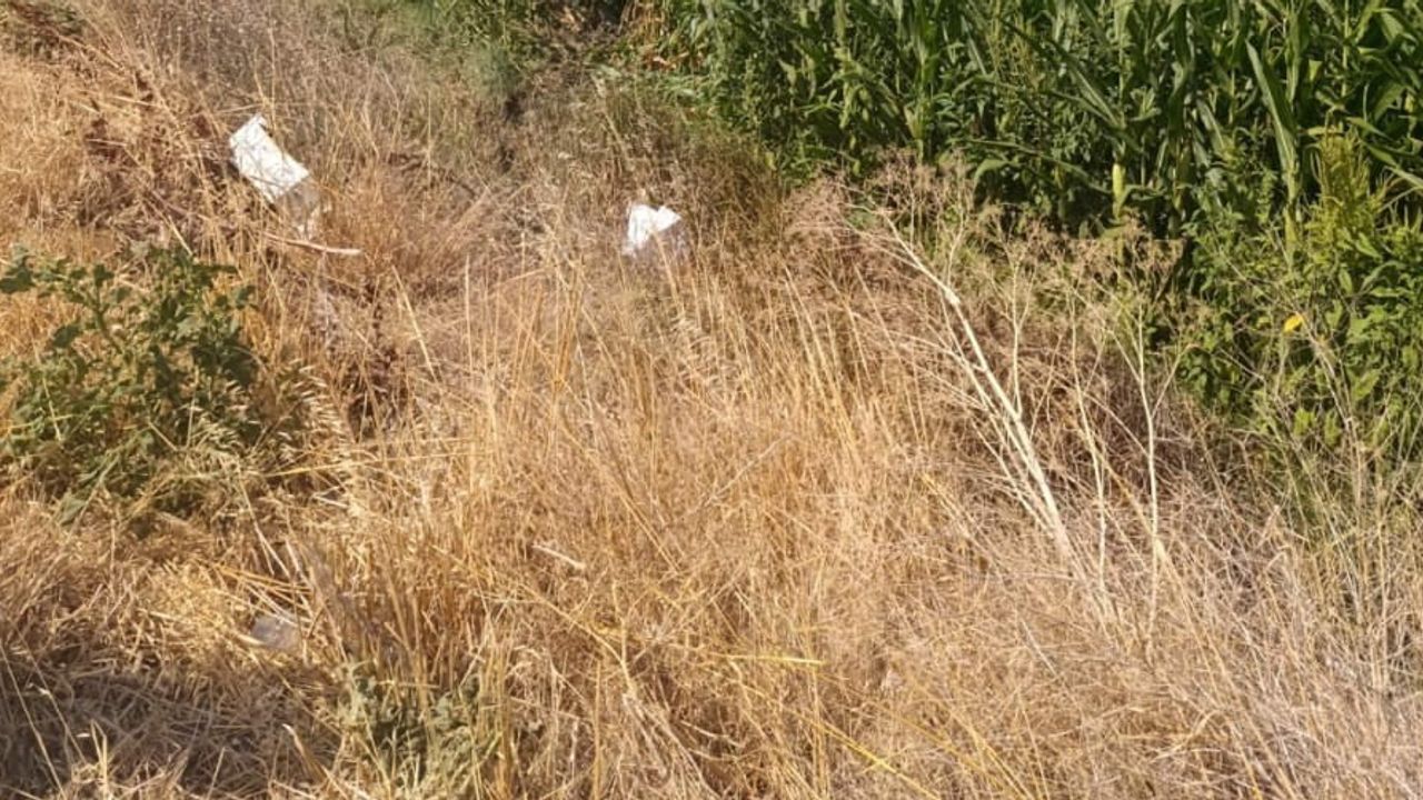 Karacabey-Bandırma yolunda araç tarlaya uçtu: üç kişi yaralandı