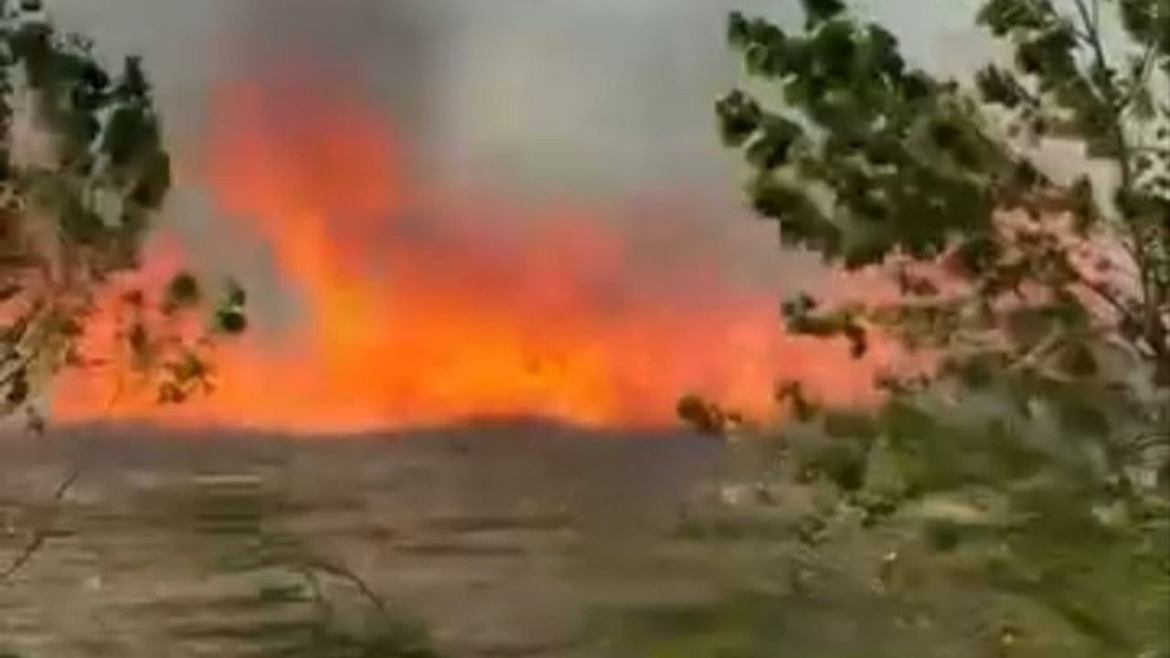 Karacabey'de sanayi sitesi kıyısındaki boş arazi yangını çabuk kontrol altına alındı