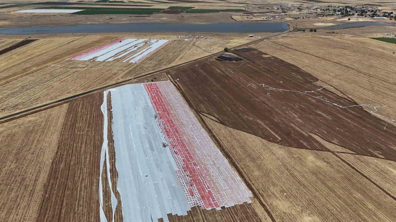 Karacadağ’ın kavurucu sıcağında kuruyan domateslerin ardındaki dört aylık emek